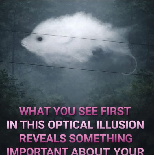 Why Optical Illusions Capture Attention So Easily