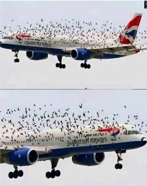An Unusual Flight Incident That Highlighted the Importance of Preparation