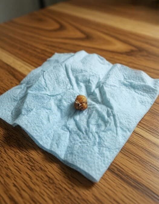 The Tiny Discovery That Turned an Ordinary Evening Into Panic