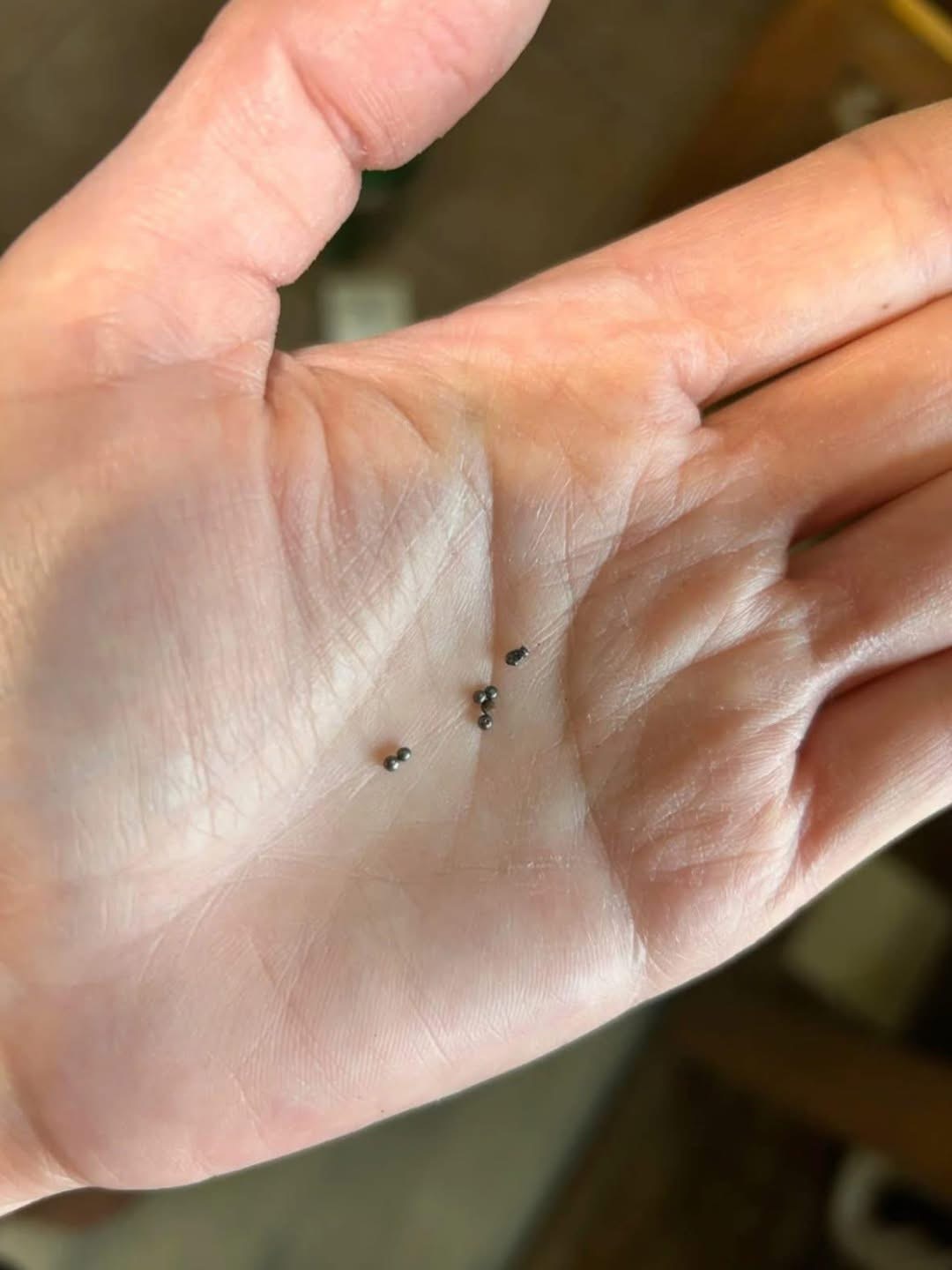 Why Small Metal Balls Under the Sink Usually Aren’t a Mystery