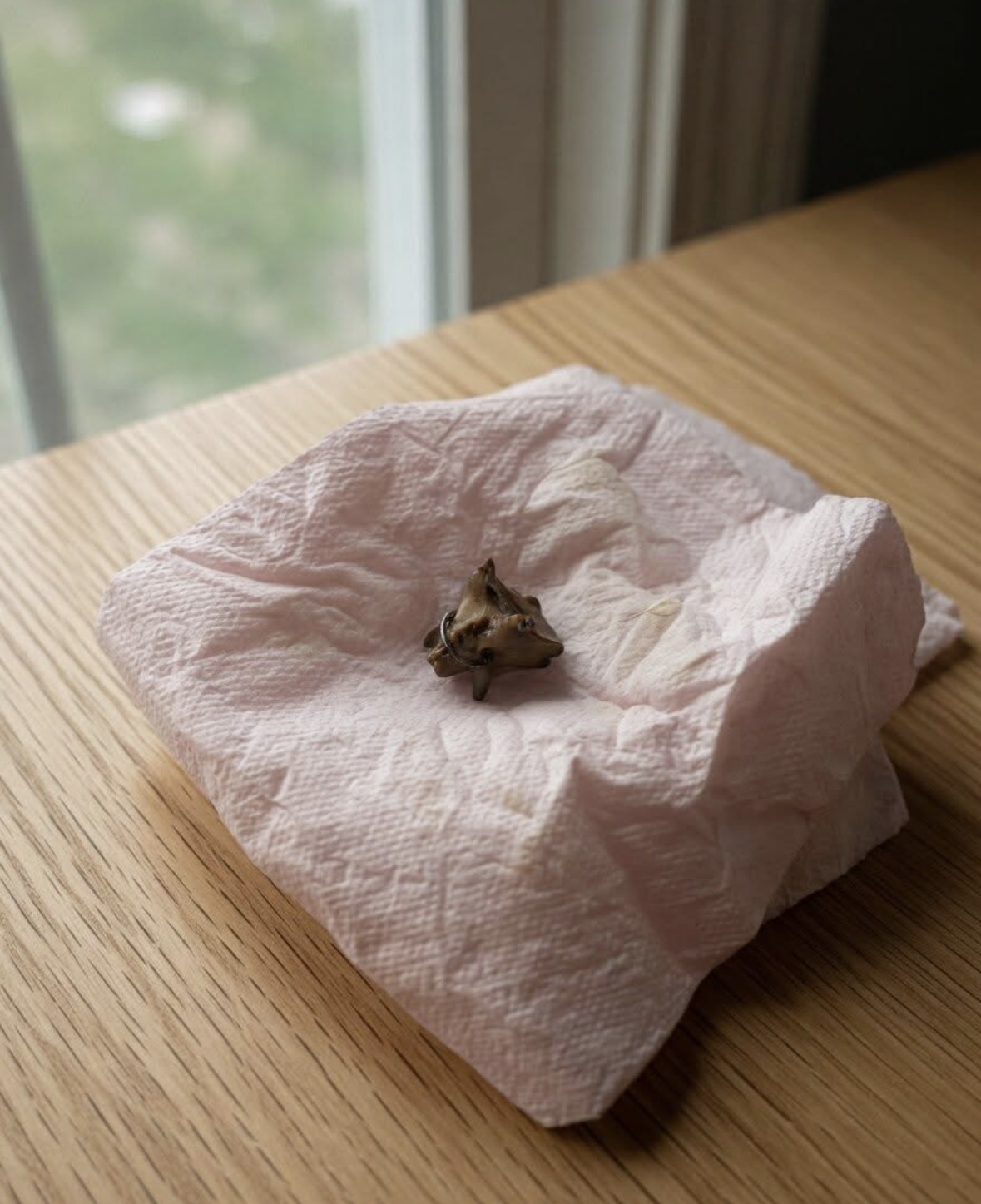 When Everyday Objects Look Mysterious: A Lesson in Not Jumping to Conclusions