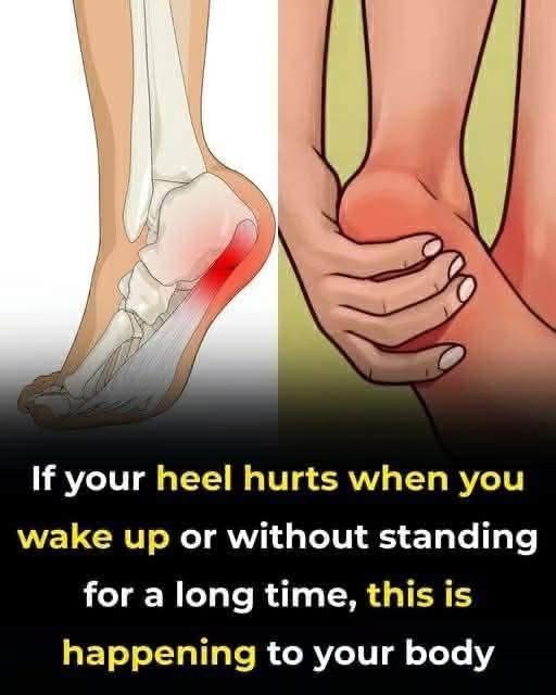 A Practical Routine to Ease Morning Heel Pain and Support Healthy Feet