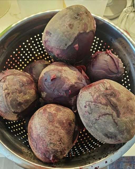 The Vibrant Root Vegetable Many Seniors Are Adding to Their Wellness Routine
