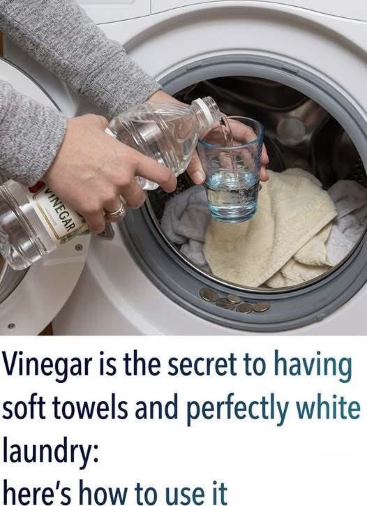 A Fresh Start for Your Washer: A Simple Guide to Natural Cleaning