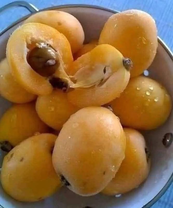 From Fruit to Jar: A Simple Guide to Homemade Jam Mazah