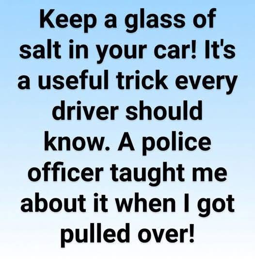 A Simple Way to Keep Your Car Dry and Fresh Using a Household Staple