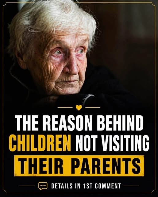 When Family Feels Far: A Practical Guide to Rebuilding Connection with Adult Children