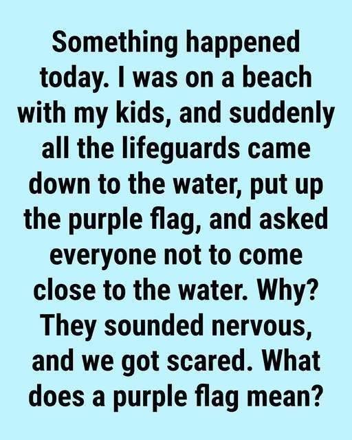 What a Purple Beach Flag Means and How to Stay Safe by the Water