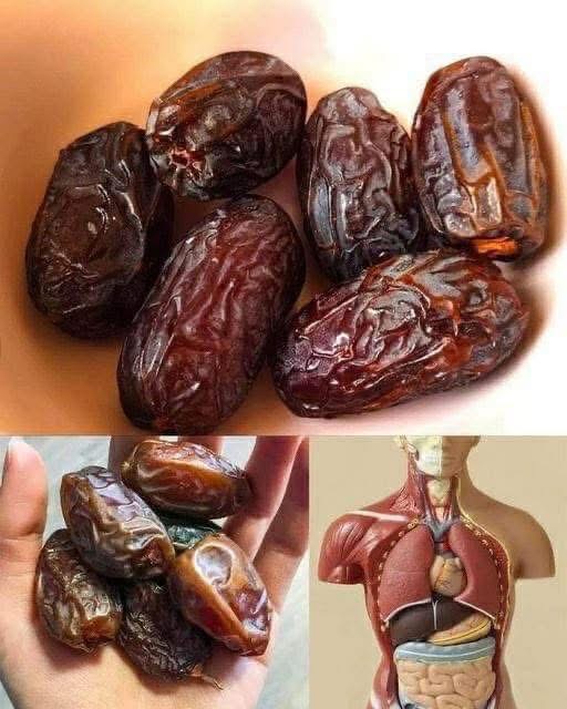 Why Adding a Few Dates to Your Daily Routine Can Be a Smart Choice