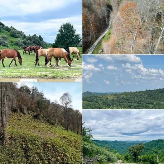 Why Large Mountain Properties Continue to Attract Nature Lovers and Investors