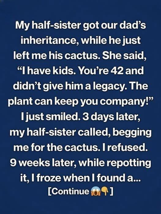 The Unexpected Inheritance That Carried a Lifetime of Wisdom
