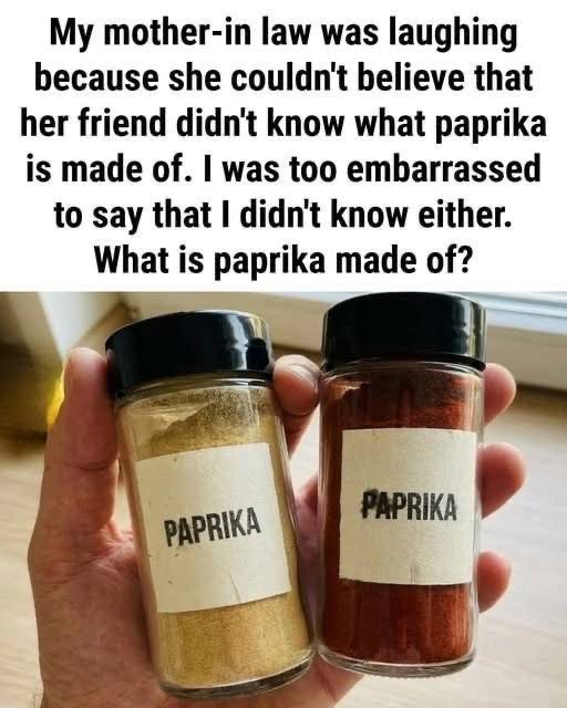 Paprika’s Simple Secret: Why Everyday Ingredients Deserve a Closer Look