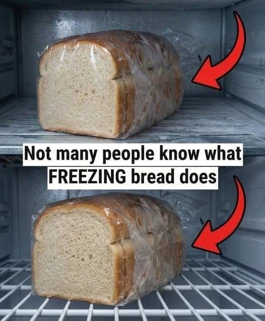 The Simple Bread-Freezing Method That Keeps Every Slice Fresh