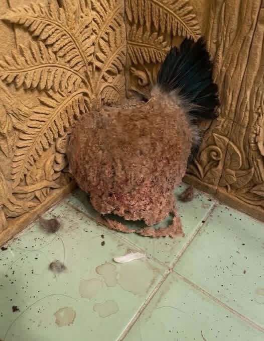 A Strange Discovery After Vacation: How One Family Handled an Unexpected Home Mystery
