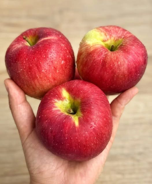 What Really Happens When You Eat an Apple? A Simple Daily Habit with Lasting Benefits