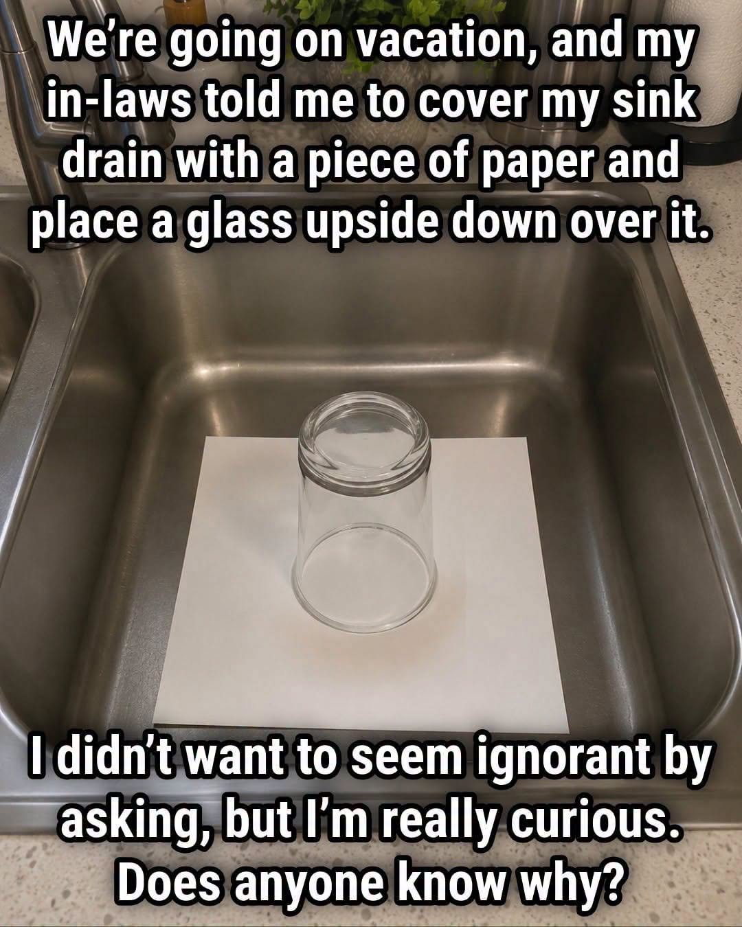 Does Covering a Sink Drain Before Vacation Really Work? What Plumbing Experts Recommend