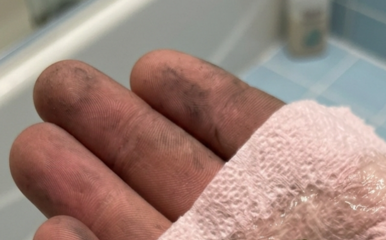 A Curious Discovery in the Bathroom Turned Into an Unexpected Nature Lesson