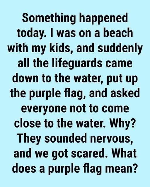 What a Purple Beach Flag Really Means and How to Stay Safe by the Water