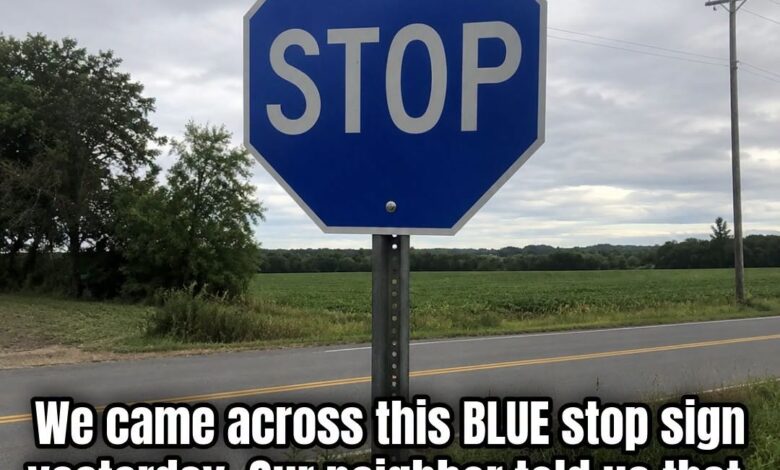 The Curious Reason Some Drivers Encounter Blue STOP Signs in the United States