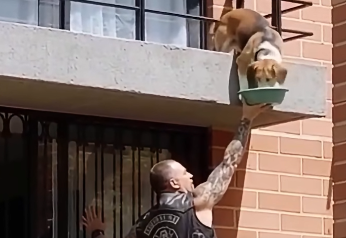 I Almost Called the Police on a Stranger—Then I Realized Why He Was Climbing That Balcony